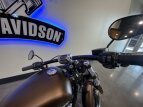 Thumbnail Photo 11 for 2019 Harley-Davidson Softail Breakout 114
