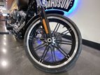 Thumbnail Photo 12 for 2019 Harley-Davidson Softail Breakout 114