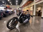 Thumbnail Photo 20 for 2019 Harley-Davidson Softail Breakout 114