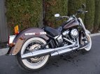 Thumbnail Photo 2 for 2019 Harley-Davidson Softail Deluxe