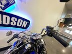 Thumbnail Photo 16 for 2019 Harley-Davidson Softail Low Rider
