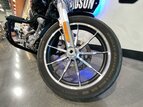 Thumbnail Photo 19 for 2019 Harley-Davidson Softail Low Rider