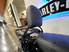 Thumbnail Photo 8 for 2019 Harley-Davidson Softail Low Rider