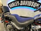 Thumbnail Photo 27 for 2019 Harley-Davidson Softail Low Rider