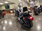 Thumbnail Photo 16 for 2019 Harley-Davidson Softail Low Rider