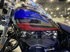 Thumbnail Photo 7 for 2019 Harley-Davidson Softail Low Rider