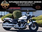 Thumbnail Photo 0 for 2019 Harley-Davidson Softail Slim