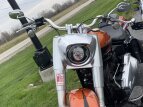 Thumbnail Photo 4 for 2019 Harley-Davidson Softail Fat Boy 114