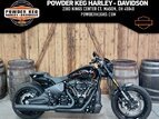 Thumbnail Photo 0 for 2019 Harley-Davidson Softail FXDR 114