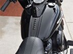 Thumbnail Photo 7 for 2019 Harley-Davidson Softail