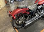 Thumbnail Photo 8 for 2019 Harley-Davidson Softail Slim