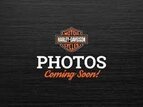 Thumbnail Photo 1 for 2019 Harley-Davidson Softail