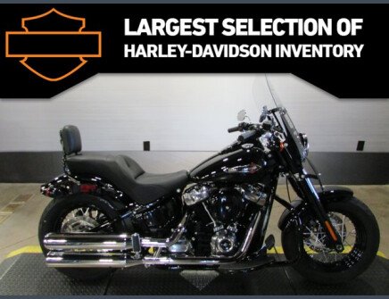 Photo 1 for 2019 Harley-Davidson Softail Slim