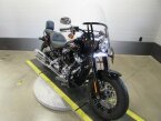 Thumbnail Photo 1 for 2019 Harley-Davidson Softail Slim