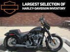 Thumbnail Photo 13 for 2019 Harley-Davidson Softail Street Bob