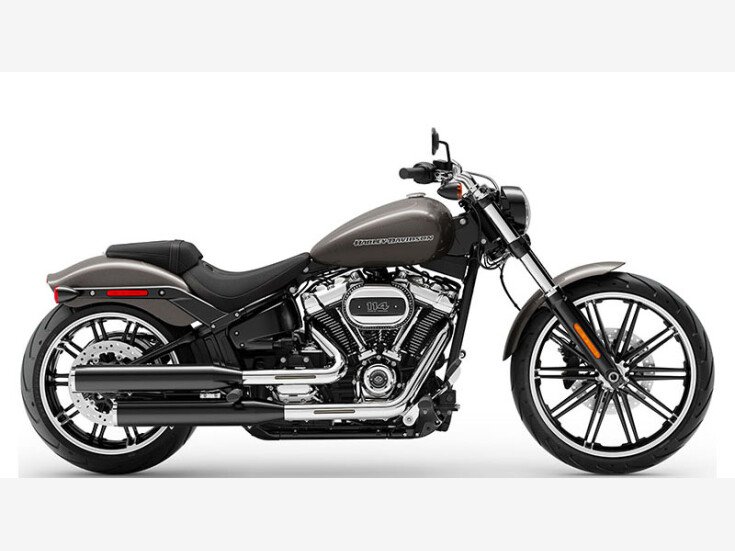 Thumbnail Photo undefined for 2019 Harley-Davidson Softail