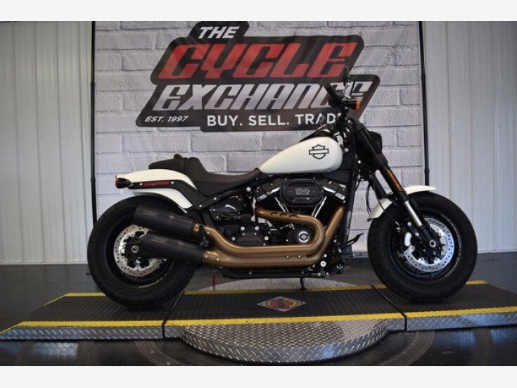 Thumbnail Photo undefined for 2019 Harley-Davidson Softail