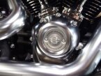 Thumbnail Photo 4 for 2019 Harley-Davidson Softail Fat Boy