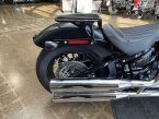 Thumbnail Photo 5 for 2019 Harley-Davidson Softail