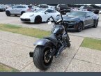 Thumbnail Photo 3 for 2019 Harley-Davidson Softail FXDR 114