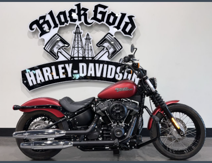 Photo 1 for 2019 Harley-Davidson Softail Street Bob