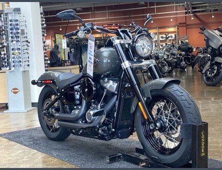 Photo 1 for 2019 Harley-Davidson Softail