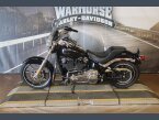 Thumbnail Photo 4 for 2019 Harley-Davidson Softail Low Rider