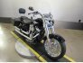 2019 Harley-Davidson Softail Fat Boy 114 for sale 201307625