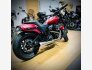 2019 Harley-Davidson Softail for sale 201320674