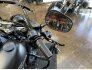 2019 Harley-Davidson Softail Slim for sale 201356392
