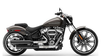 2019 Harley-Davidson Softail