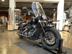 2019 Harley-Davidson Softail for sale 201473877