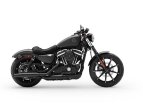 Thumbnail Photo 1 for New 2019 Harley-Davidson Sportster