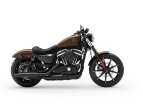 Thumbnail Photo 2 for New 2019 Harley-Davidson Sportster