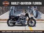 Thumbnail Photo 22 for New 2019 Harley-Davidson Sportster Roadster