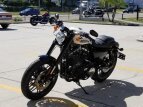 Thumbnail Photo 3 for New 2019 Harley-Davidson Sportster Roadster