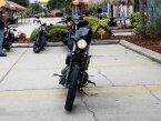 Thumbnail Photo 1 for New 2019 Harley-Davidson Sportster Iron 1200
