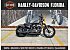 New 2019 Harley-Davidson Sportster Iron 883
