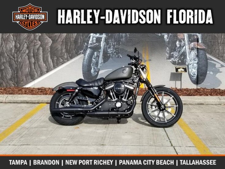 Thumbnail Photo undefined for New 2019 Harley-Davidson Sportster Iron 883