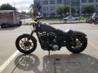 Thumbnail Photo 4 for New 2019 Harley-Davidson Sportster Iron 883