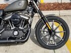 Thumbnail Photo 9 for New 2019 Harley-Davidson Sportster Iron 883