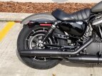 Thumbnail Photo 8 for New 2019 Harley-Davidson Sportster Iron 883
