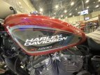 Thumbnail Photo 18 for 2019 Harley-Davidson Sportster Roadster