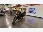 Thumbnail Photo 3 for 2019 Harley-Davidson Sportster Roadster