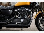 Thumbnail Photo 8 for 2019 Harley-Davidson Sportster