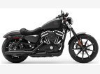Thumbnail Photo 4 for 2019 Harley-Davidson Sportster