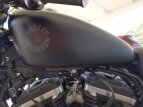Thumbnail Photo 16 for 2019 Harley-Davidson Sportster Iron 883