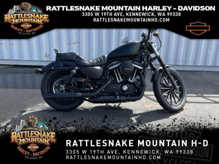 Thumbnail Photo undefined for 2019 Harley-Davidson Sportster Iron 883