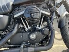 Thumbnail Photo 18 for 2019 Harley-Davidson Sportster Iron 883