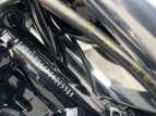 Thumbnail Photo 36 for 2019 Harley-Davidson Sportster Iron 1200